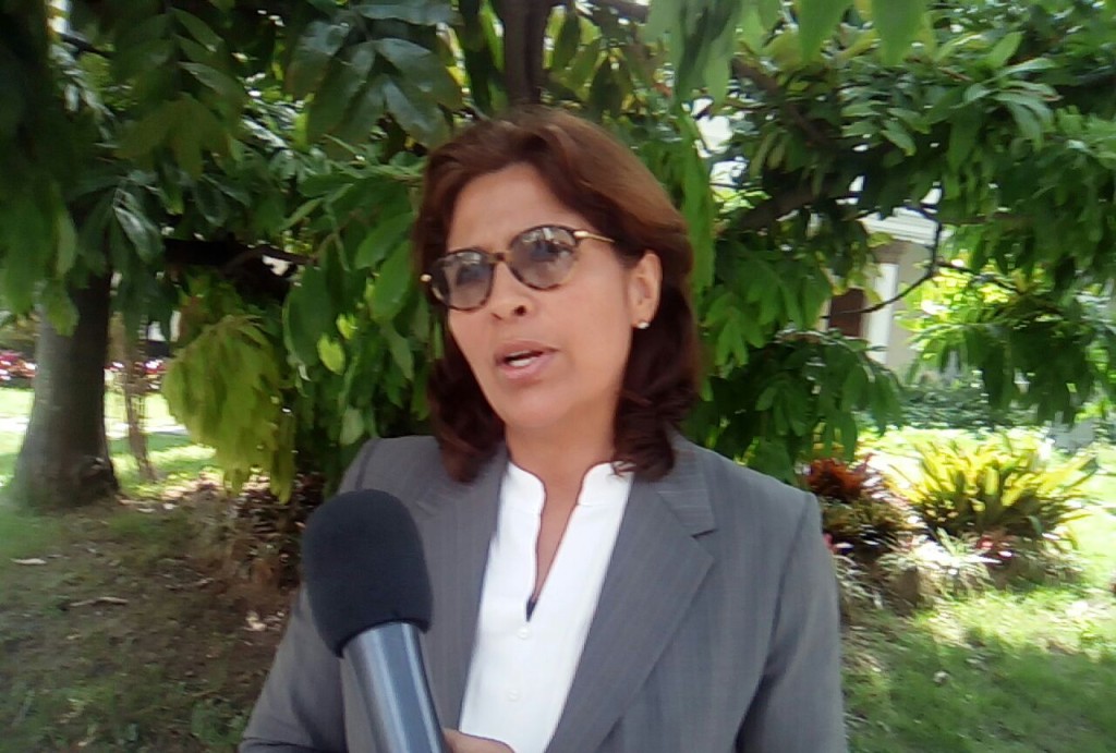 Diputada María Gabriela Hernández. (Foto: Prensa Unidad)