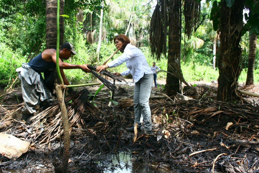La Pica. (Foto: Prensa Unidad)